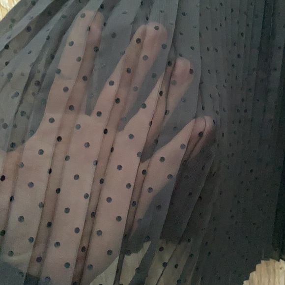 Pleated see through skirt with lining. - Picture 5 of 5